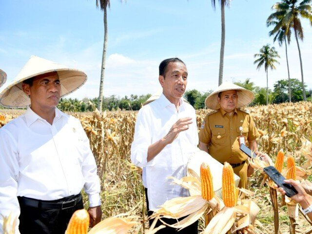 Presiden Dorong Peningkatan Produksi dan Kesejahteraan&nbsp;Petani