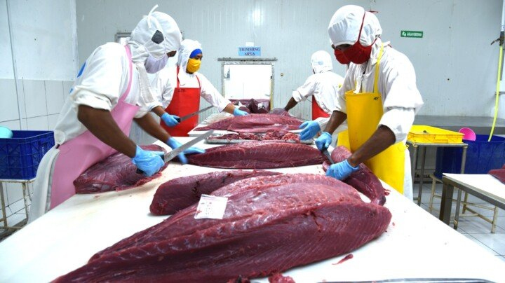 KKP Genjot Kerja Sama Sektor Perikanan di Aquaculture Busines Forum&nbsp;2024